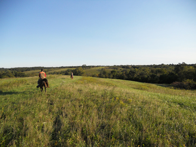 Bob Burchett training grounds