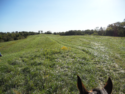 Bob Burchett training grounds