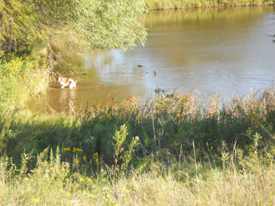 Bob Burchett training grounds