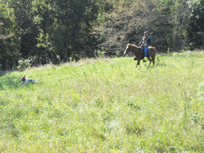 Bob Burchett training grounds